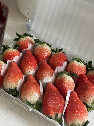 후기 사진 1