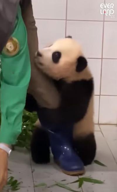 후기 사진 2