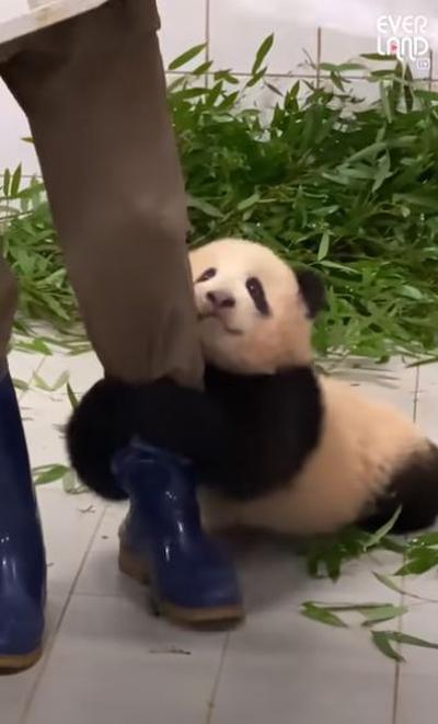 후기 사진 3