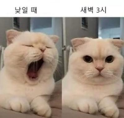 후기 사진 1