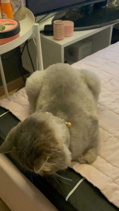 후기 사진 1