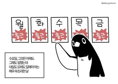 후기 사진 1