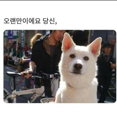 후기 사진 1