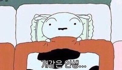 후기 사진 1