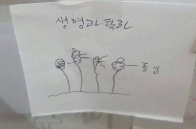 후기 사진 6