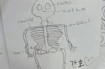 후기 사진 5
