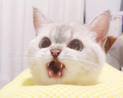 후기 사진 1