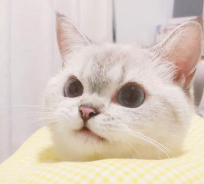 후기 사진 2