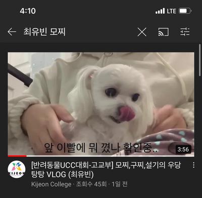 후기 사진 1