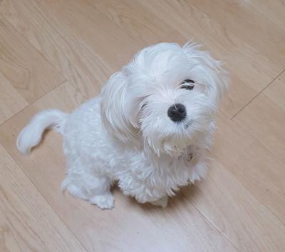 후기 사진 1