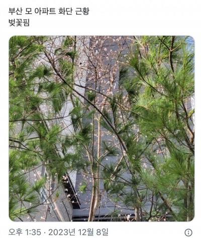 후기 사진 1