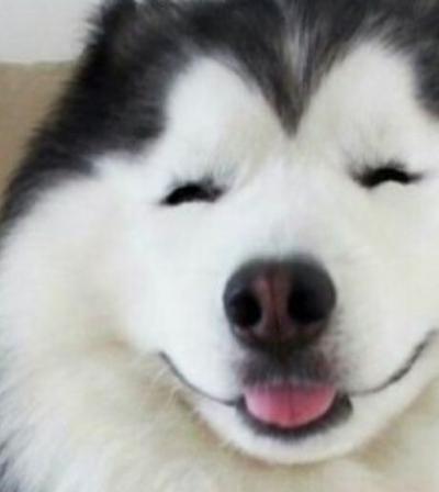 후기 사진 1