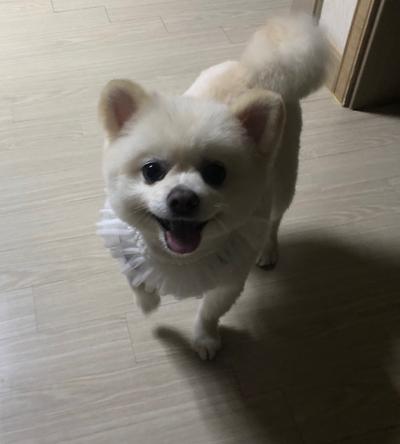 후기 사진 1