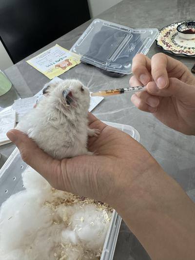 후기 사진 3