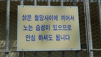 후기 사진 2