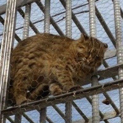 후기 사진 1