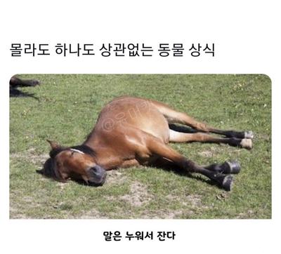 후기 사진 1