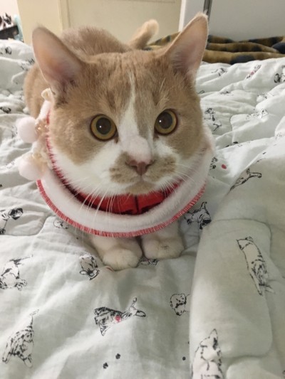 후기 사진 1