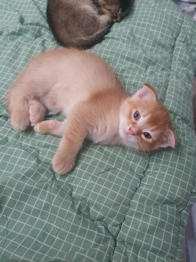후기 사진 2