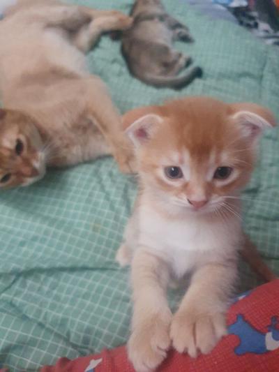 후기 사진 1