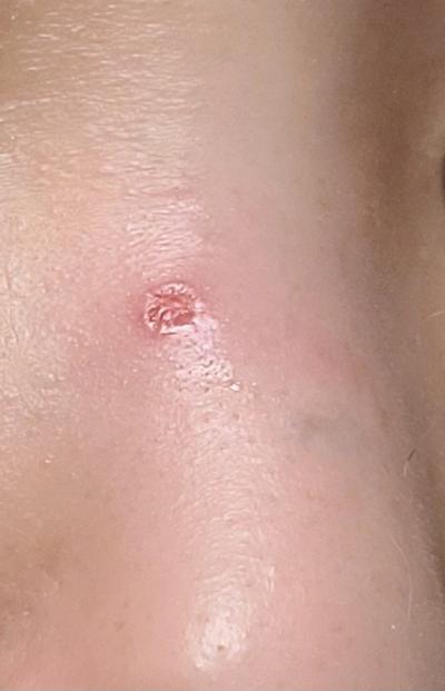 후기 사진 1