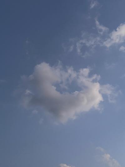 후기 사진 1
