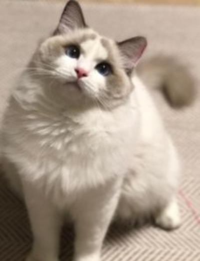 후기 사진 1