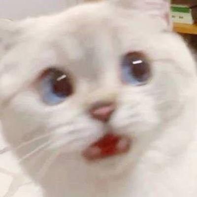 후기 사진 1