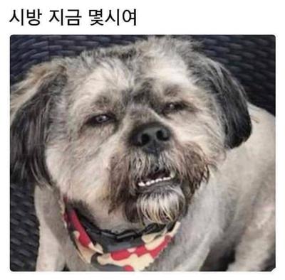 후기 사진 1