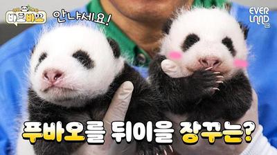 후기 사진 1