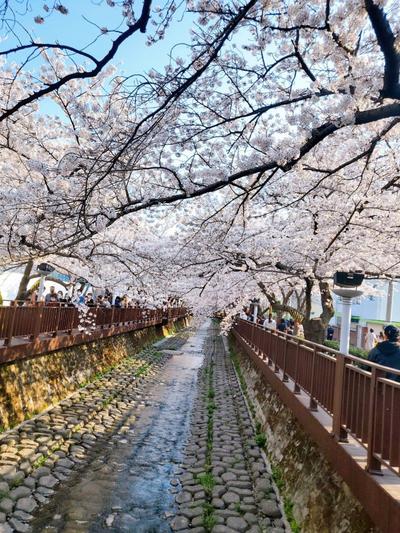 후기 사진 1