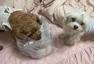 후기 사진 1