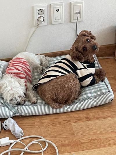 후기 사진 2