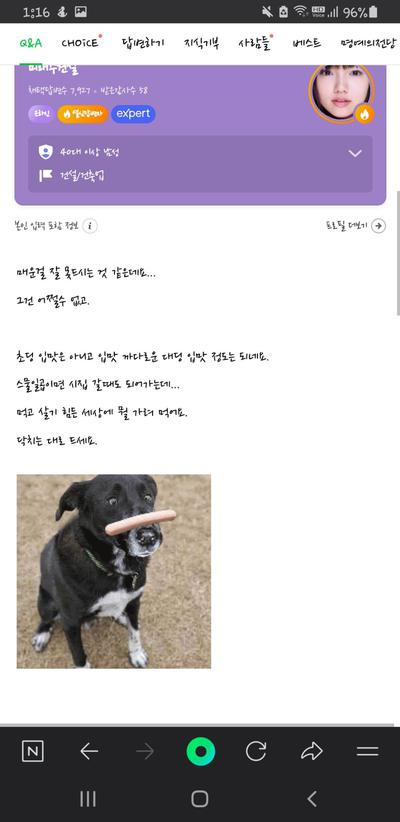 후기 사진 2