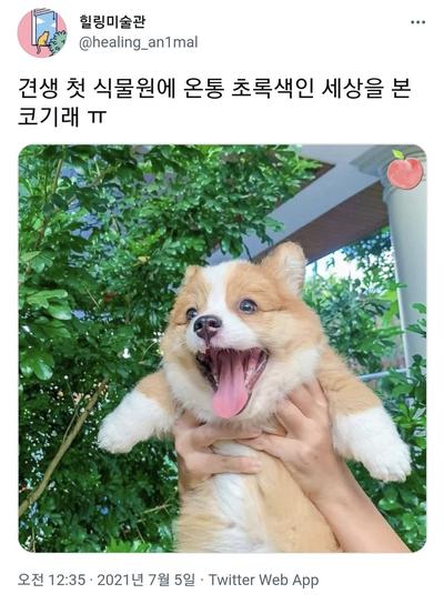 후기 사진 1