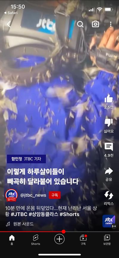 후기 사진 1