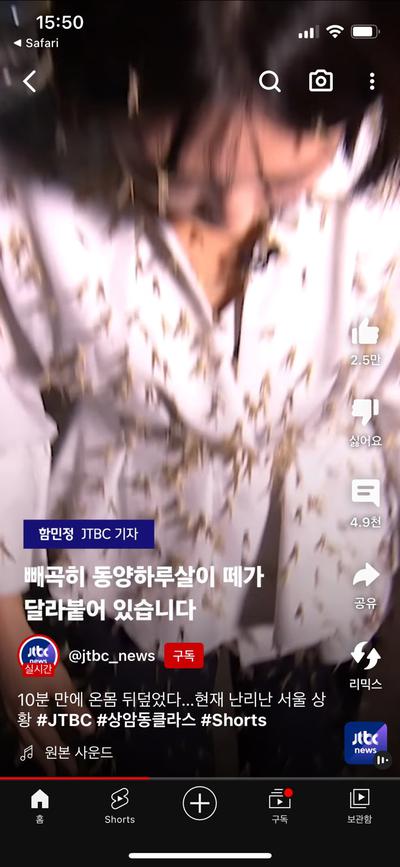 후기 사진 2
