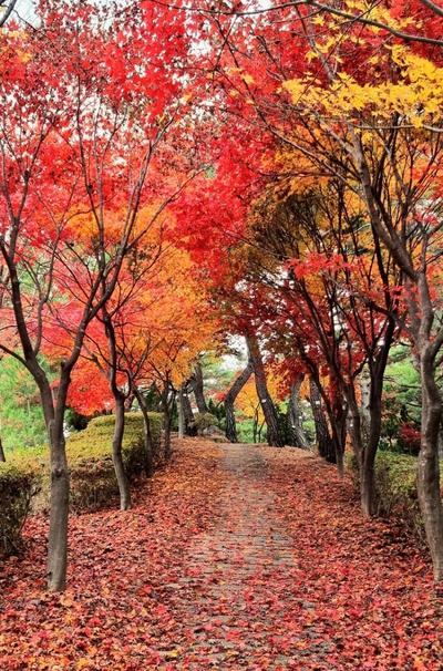 후기 사진 1