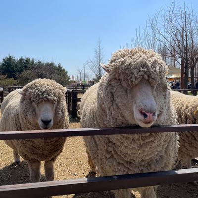 후기 사진 1