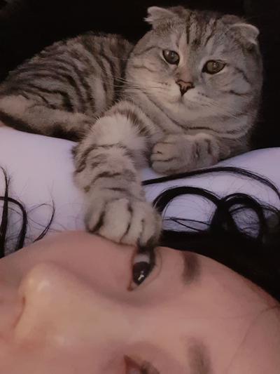후기 사진 5