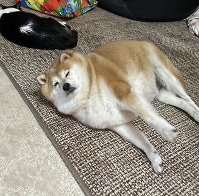 후기 사진 1