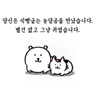 후기 사진 1