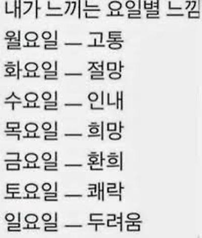 후기 사진 1