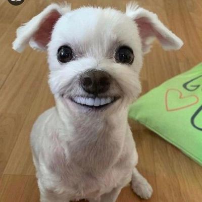 후기 사진 1