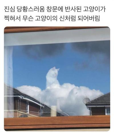 후기 사진 1