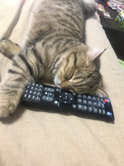 후기 사진 2