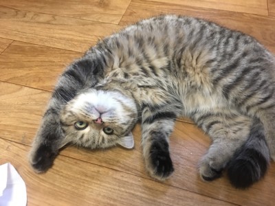 후기 사진 1