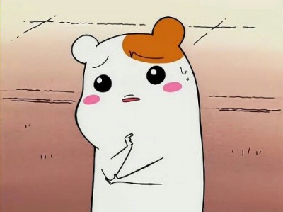 후기 사진 1