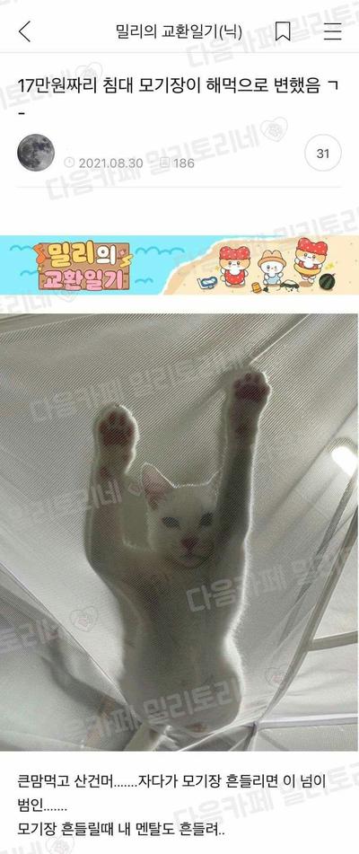 후기 사진 1