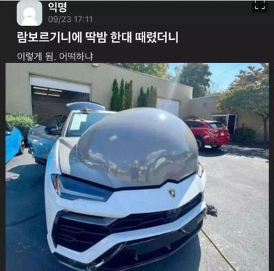 후기 사진 1
